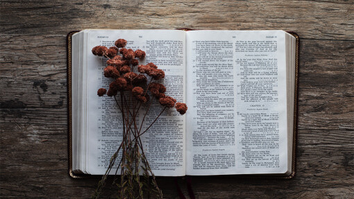 What Serving Our Commuity Looks Like in 2024