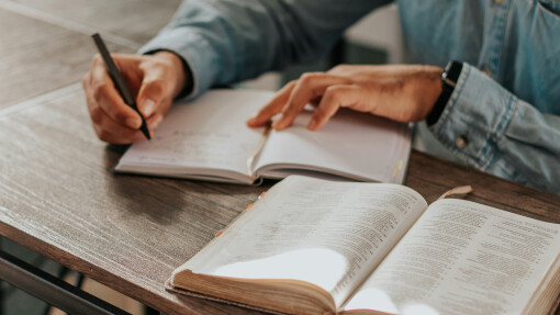 Interpreting This Strange Bible