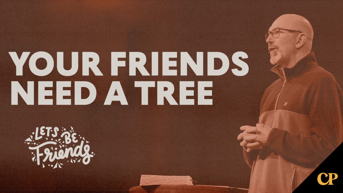 Your Friends Need A Tree