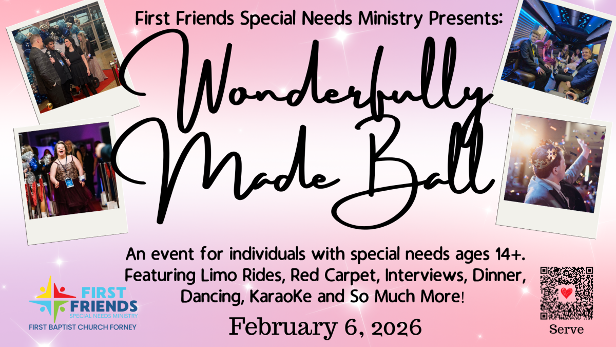 Wonderfully Made Ball
