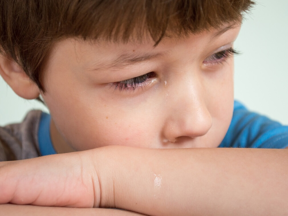 Supporting Student's Emotional Growth