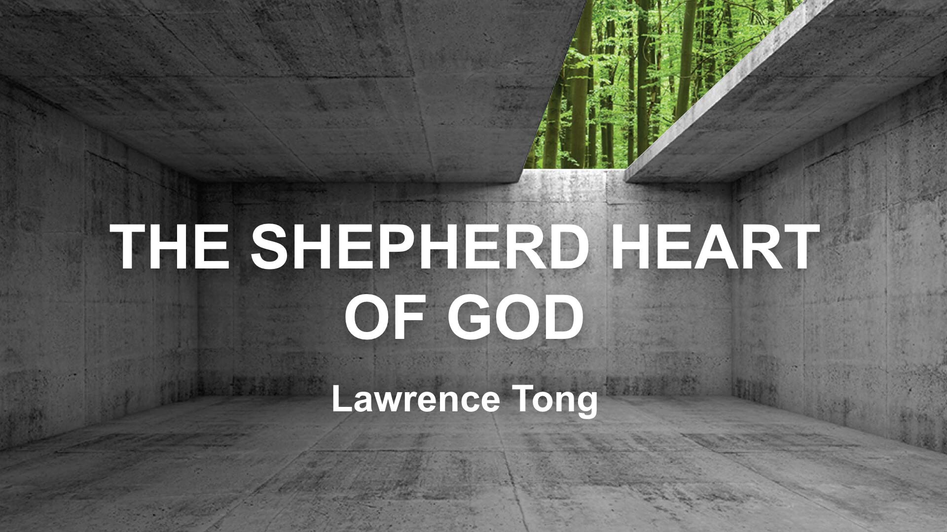 The Shepherd Heart of God (Audio) episode artwork
