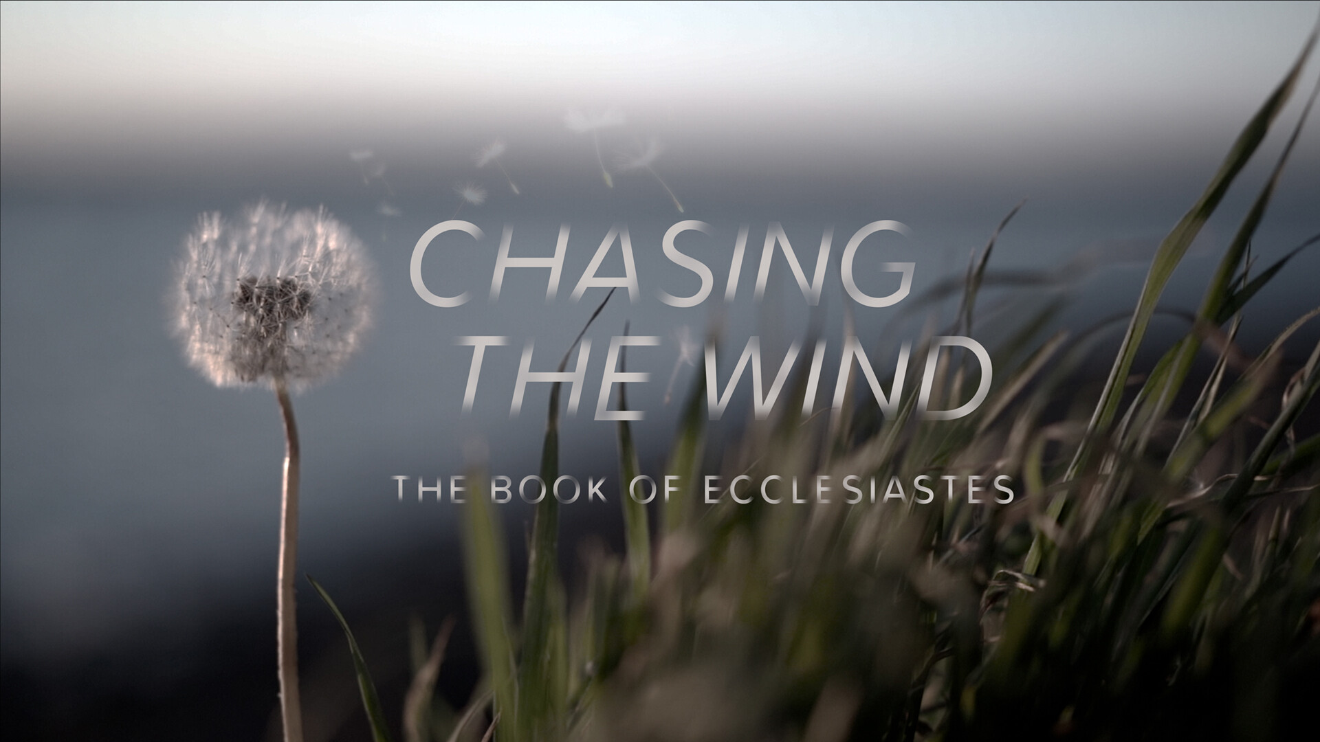 Chasing the Wind, Part 3: Seasons episode artwork