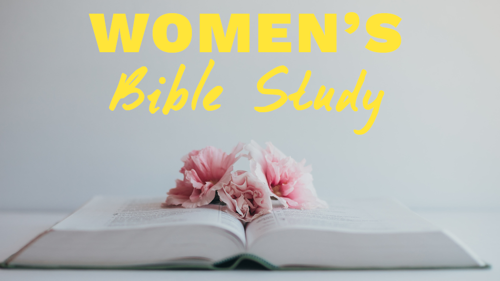 Women's Summer Bible Study