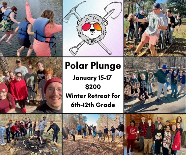 Polar Plunge