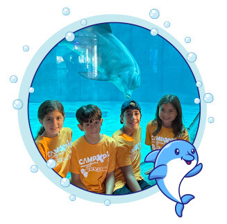 campers at the aquarium with a dolphin