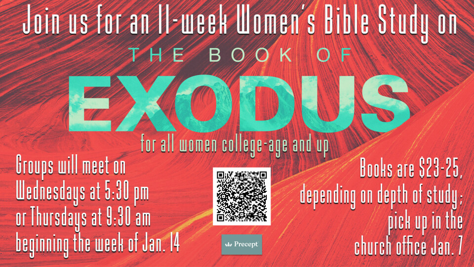 Women's Precept Bible Study 