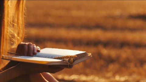 Grounded in the Word