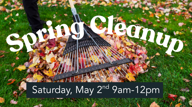 Spring Clean Up
