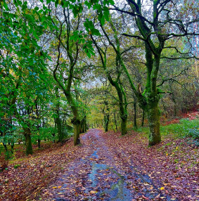 12 Reasons to Walk the Camino de Santiago