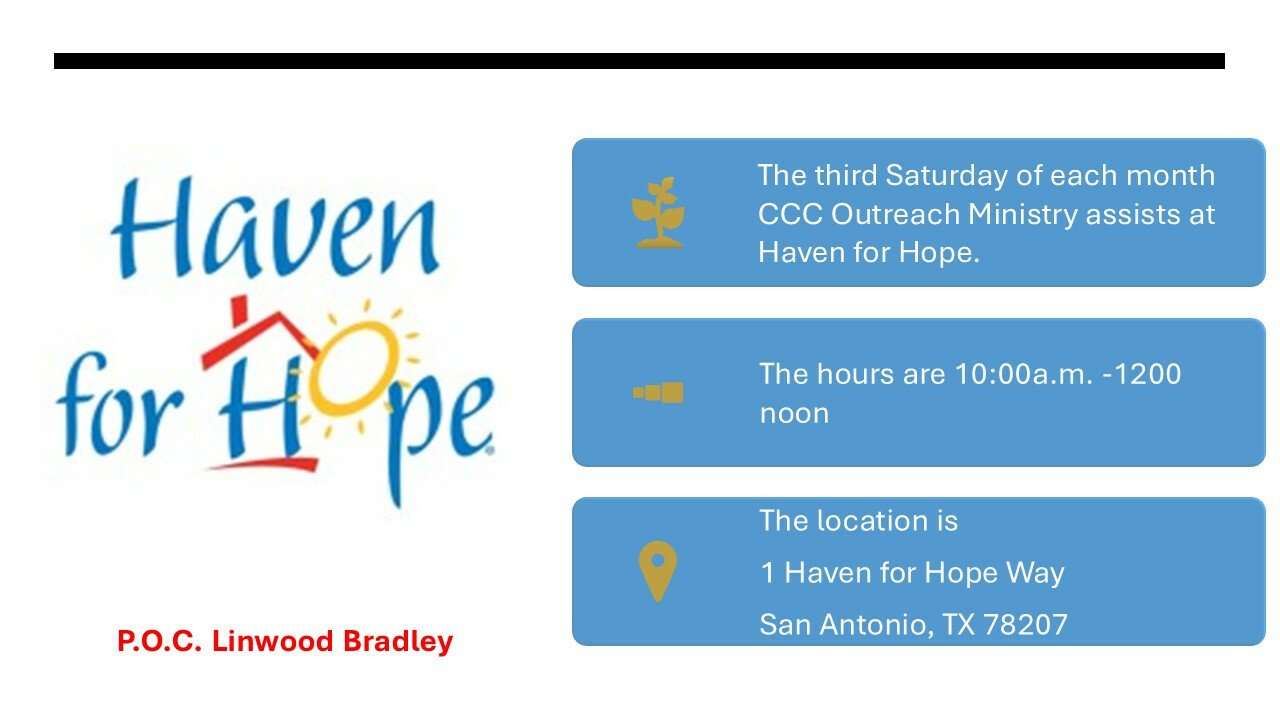 Haven for Hope