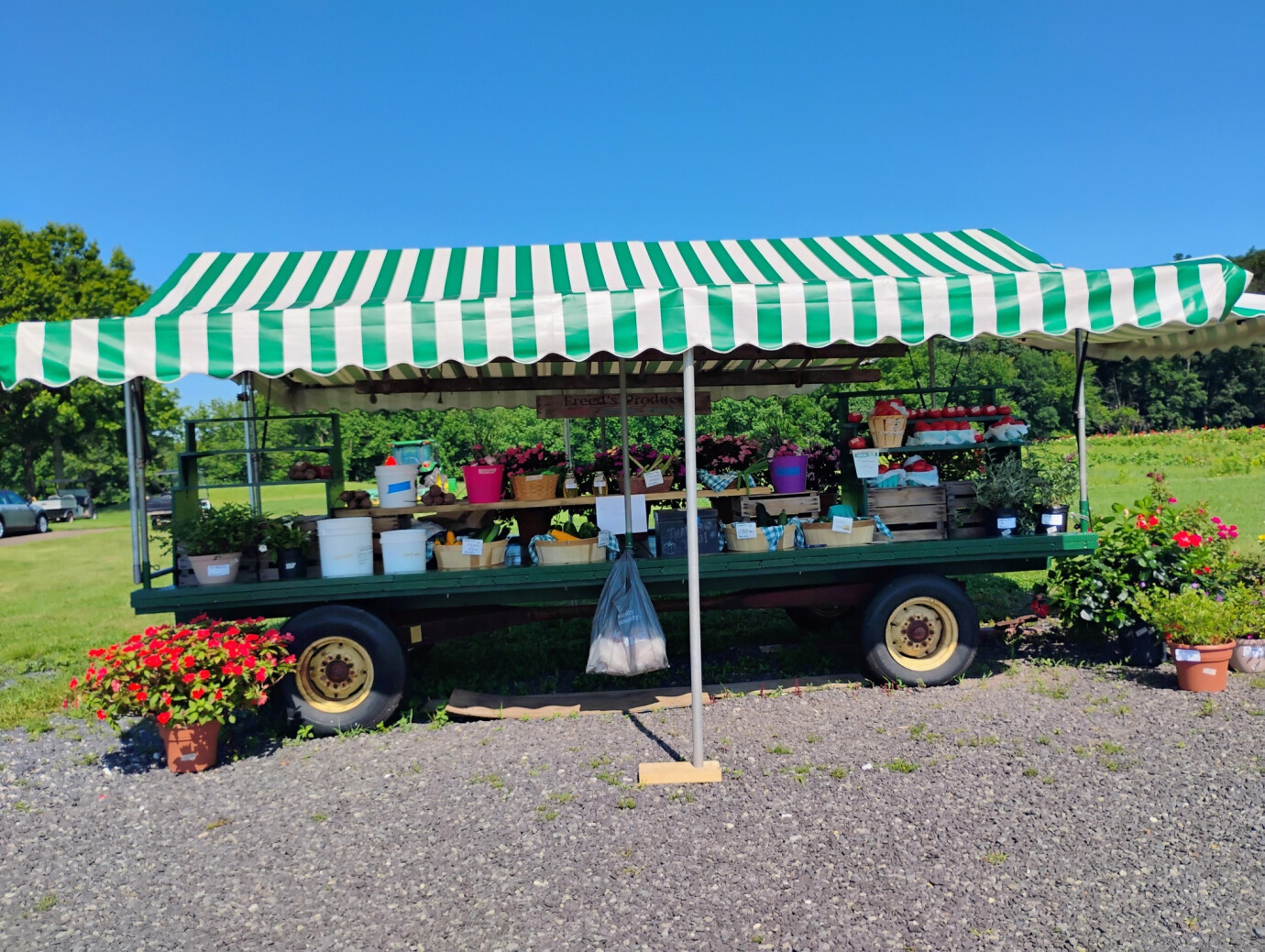 Women's Tour, Flower Picking, and Bagged Lunch