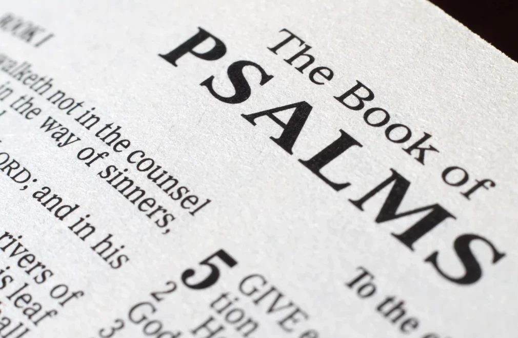 Adult Bible Study @ 9:30 AM