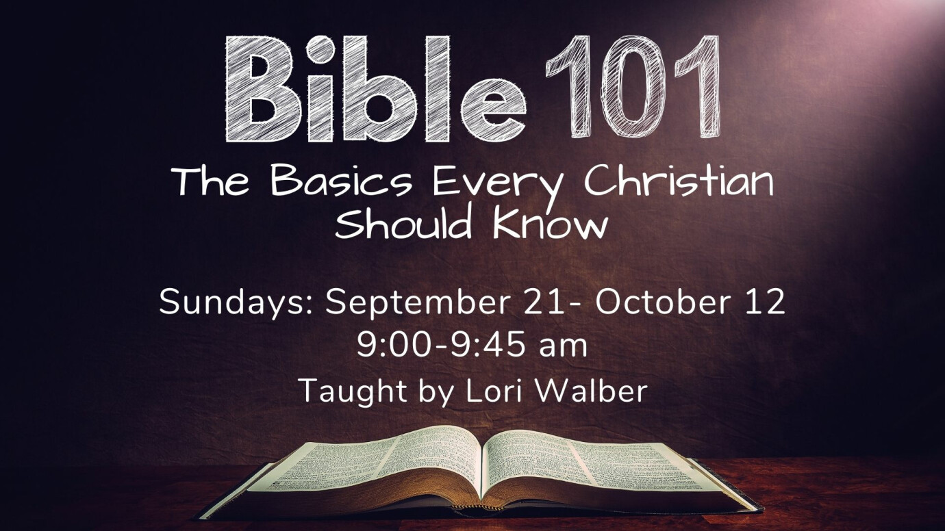 Bible 101 Study