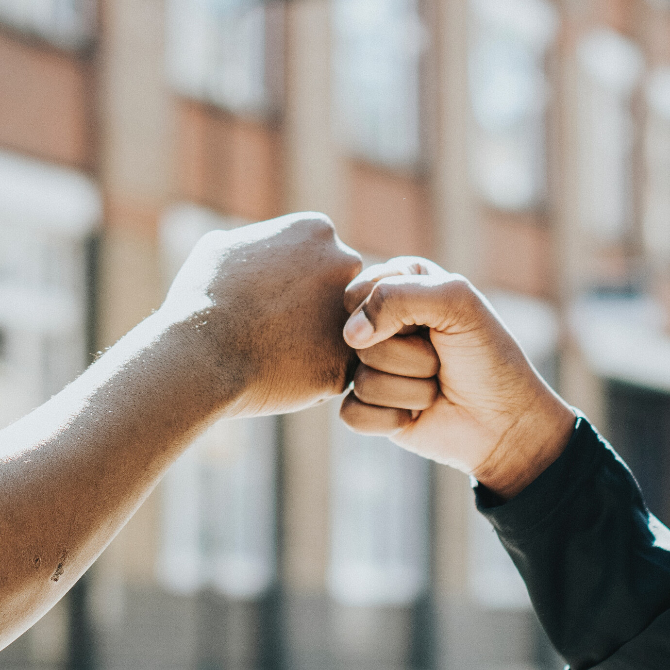 Life Connection Groups