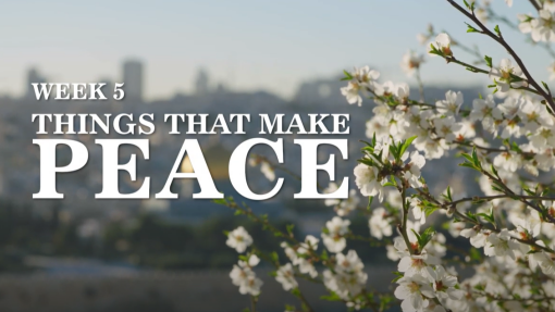 Week 5: Things That Make Peace