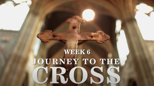 Week 6: Journey to the Cross