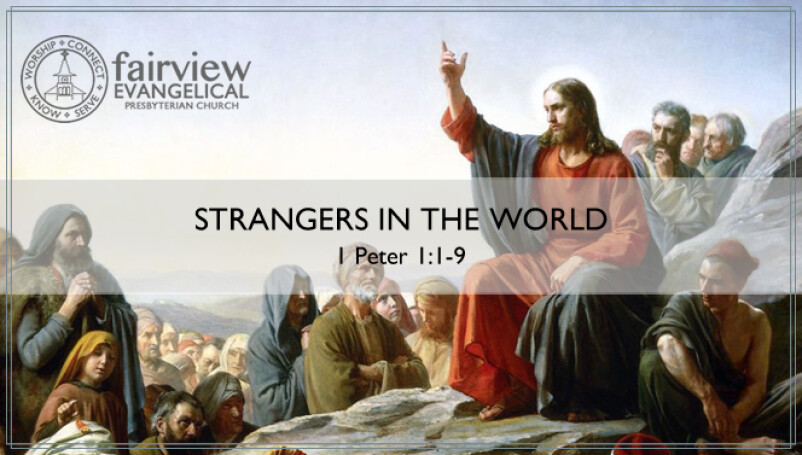 Strangers in the World