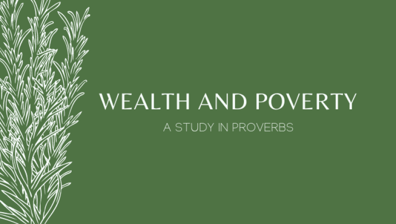 Wealth & Poverty