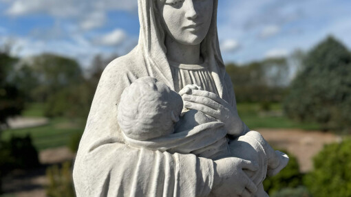 Planted in a Manger