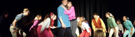 Bye Bye Birdie 2014