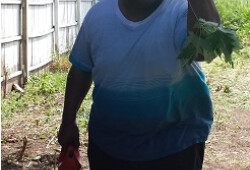 TS WS CC Garden 2