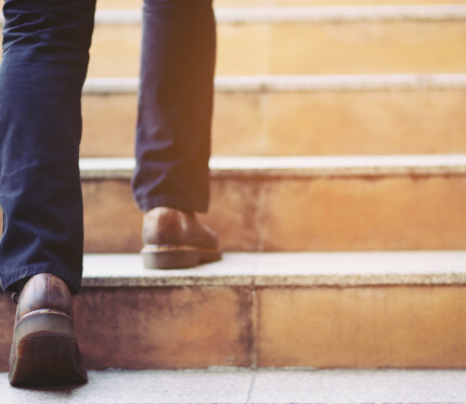 Instant Obedience