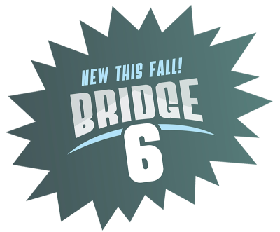 Bridge 6