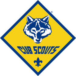 Cub Scouts