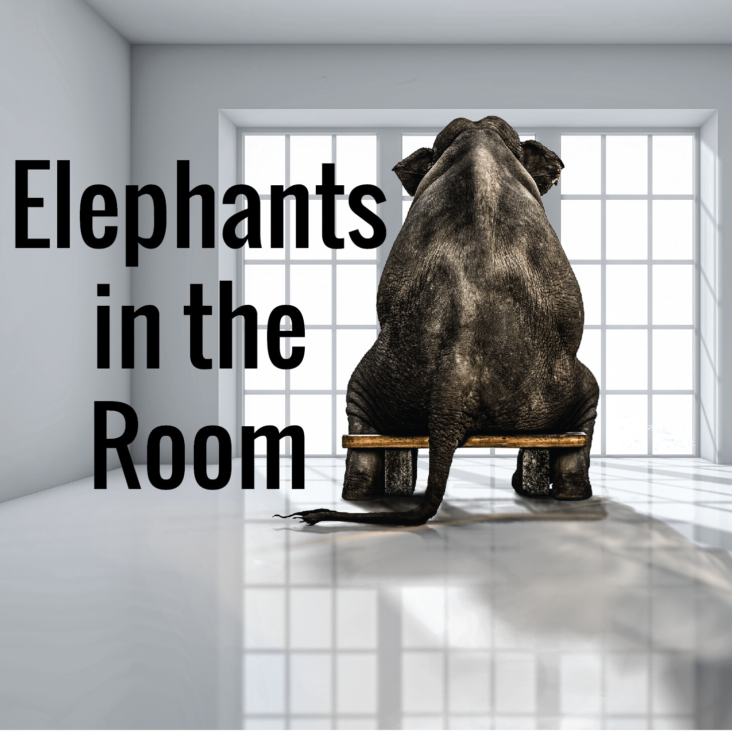 Elephants in the Room: Death