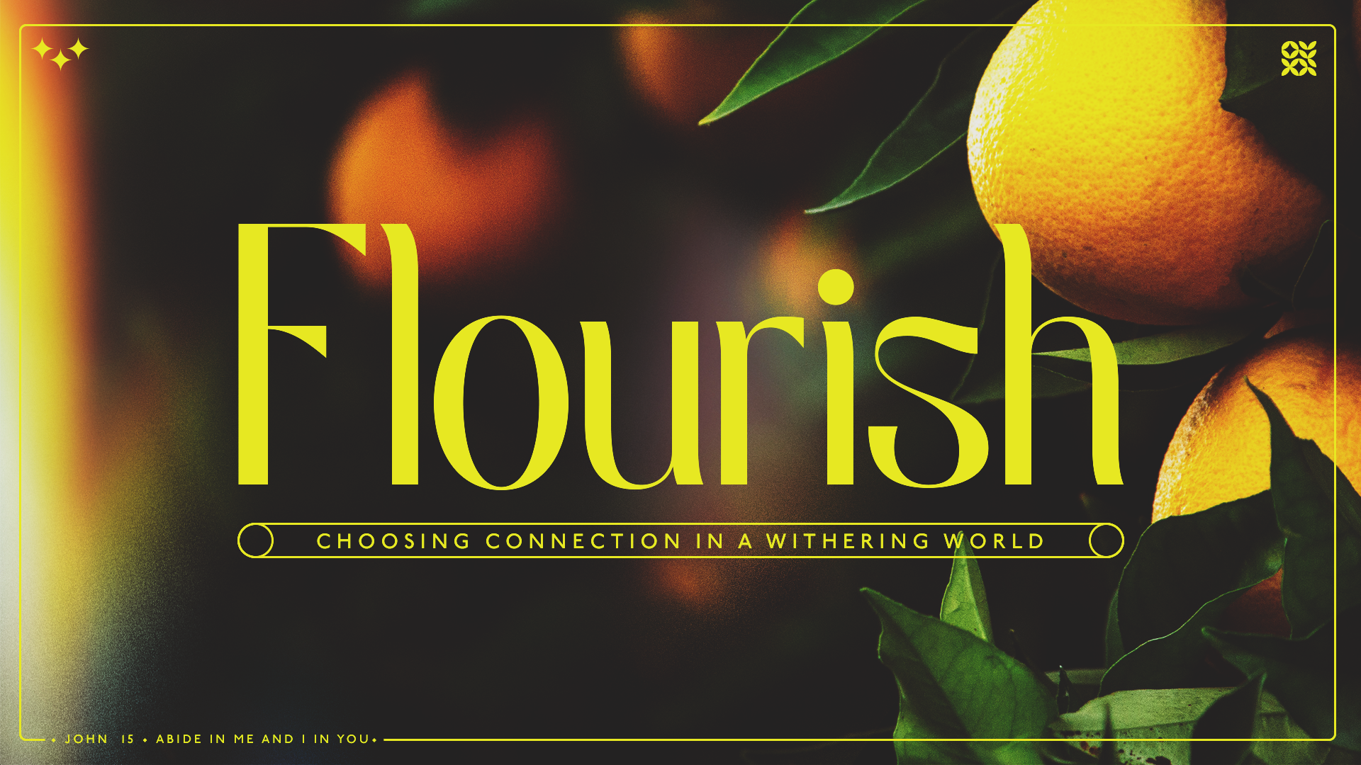 Flourish, Part 2: Rest episode artwork