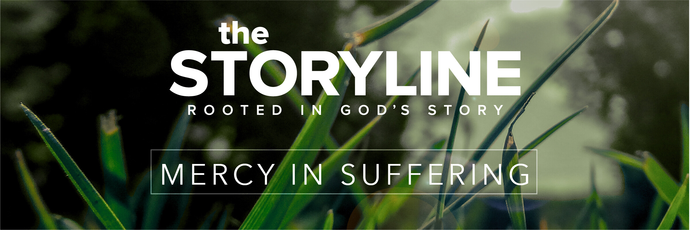 The Storyline | Enough? (Audio) episode artwork