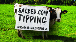 Sacred Cow-Tipping