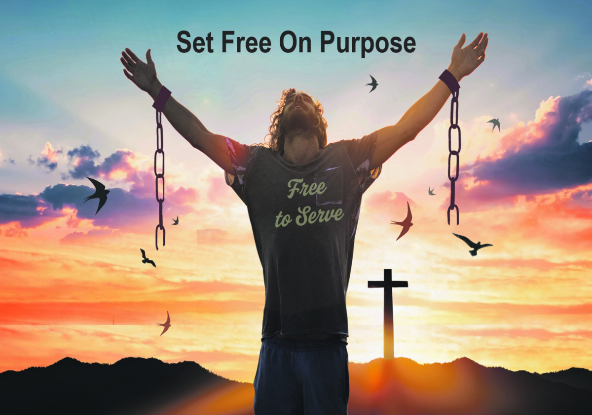 Set Free On Purpose