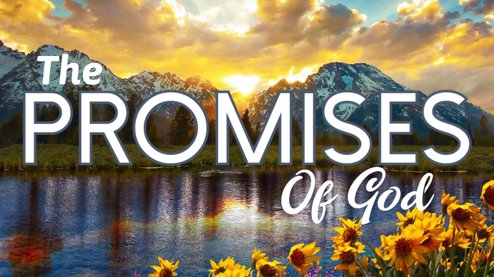 THE PROMISES OF GOD
