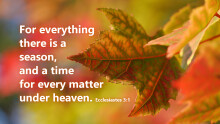 There is a Season for Everything Under Heaven