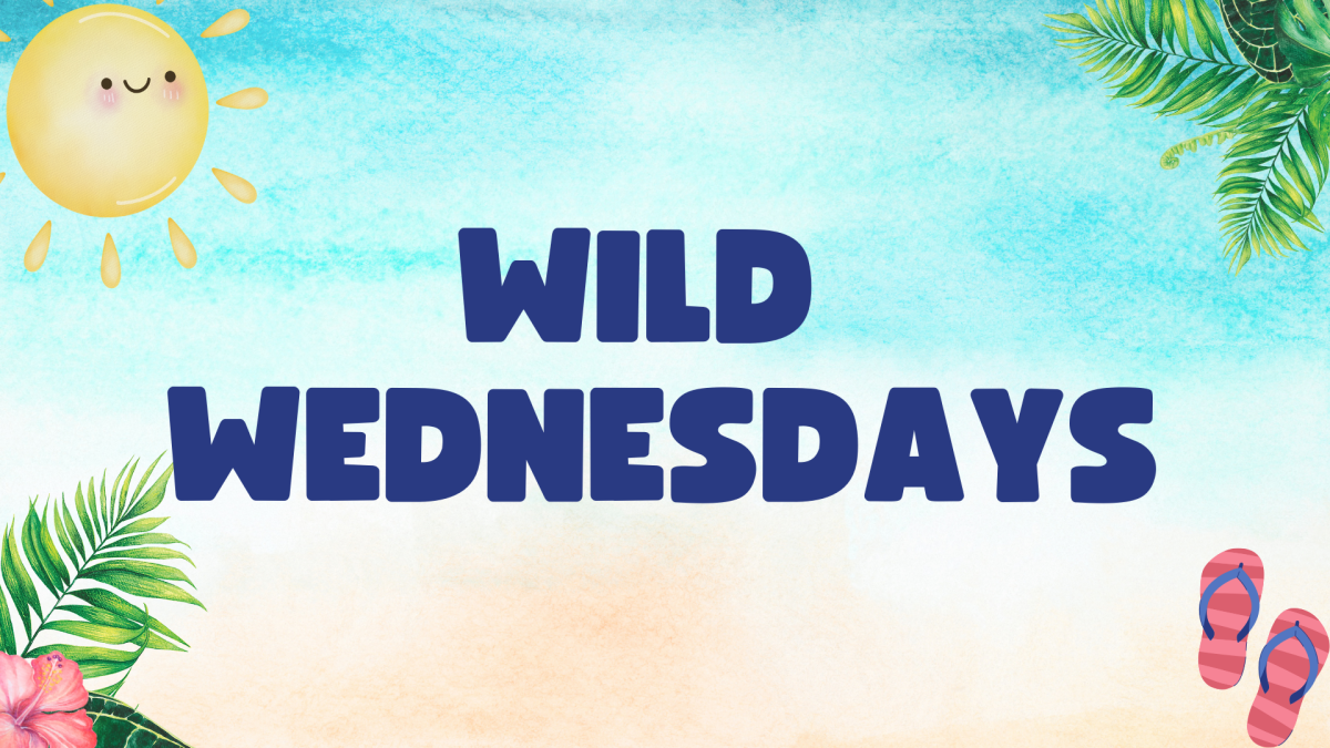 Wild Wednesday