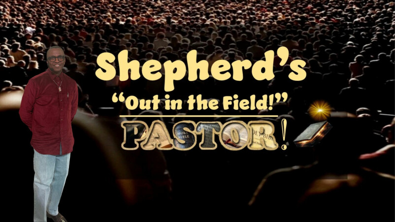 Shepherds in the Field- WATCH OUT: Section 1 | Week 1 |