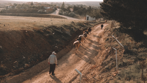 The Cost of Following Jesus