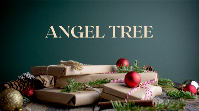 Angel Tree 2024