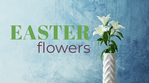 Easter Lilies in a vase in front of a blue background