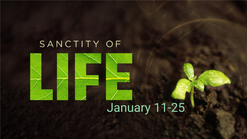 The Sanctity of Human Life, Part 2 of 4 (2026)