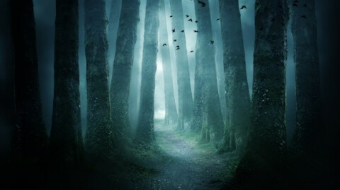 Stuck in the Dark of Night