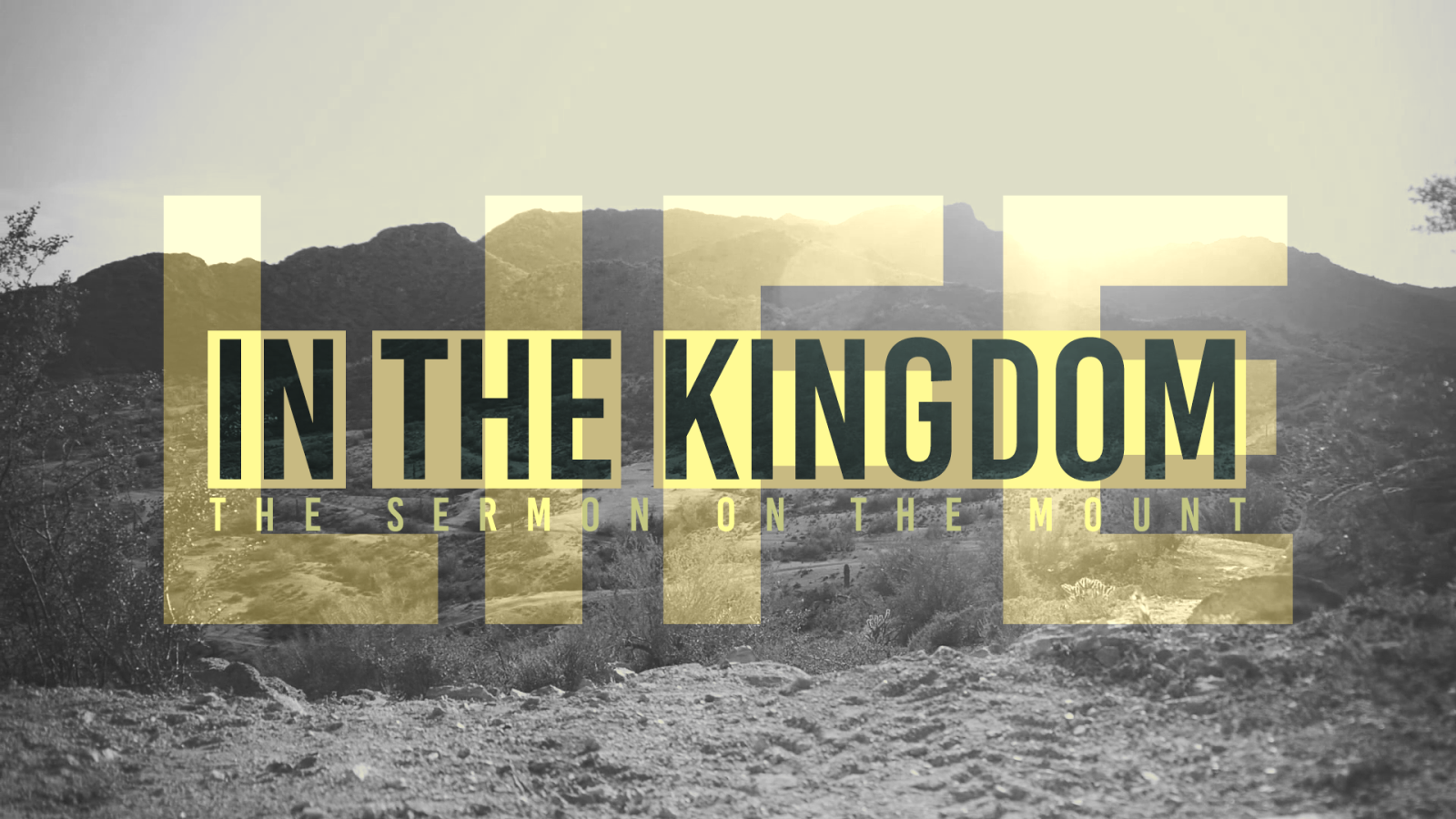 Life in the Kingdom
