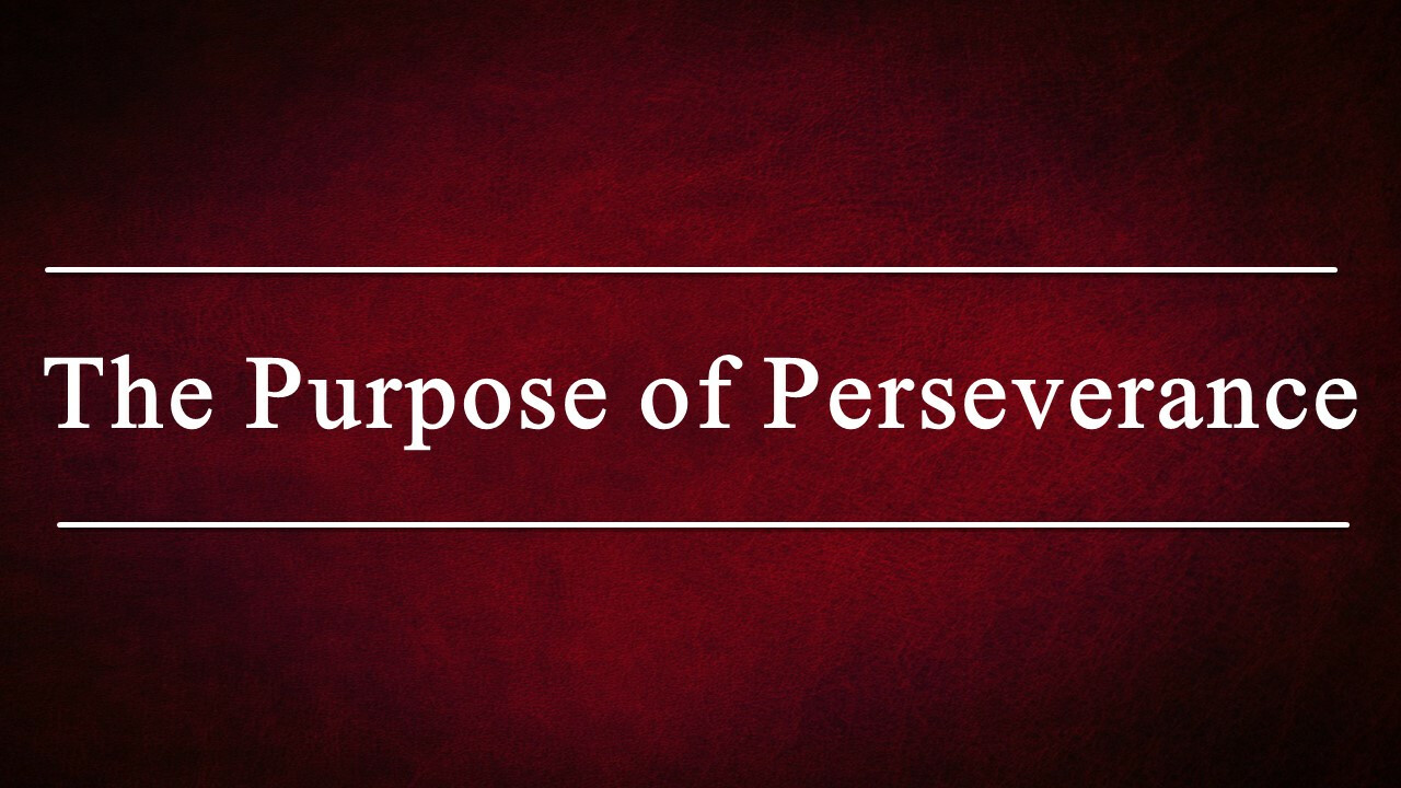 The Purpose of Perseverance