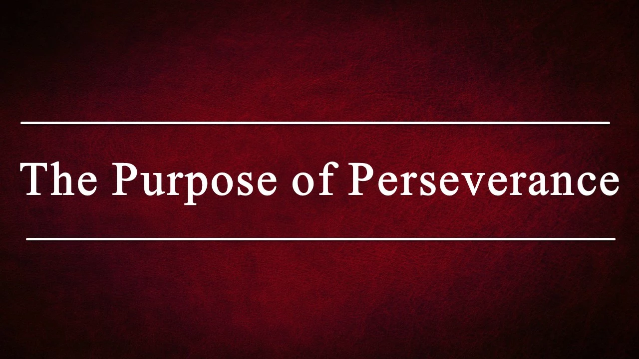 The Purpose of Perseverance
