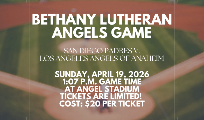 Family Ministry - Angels Baseball Game