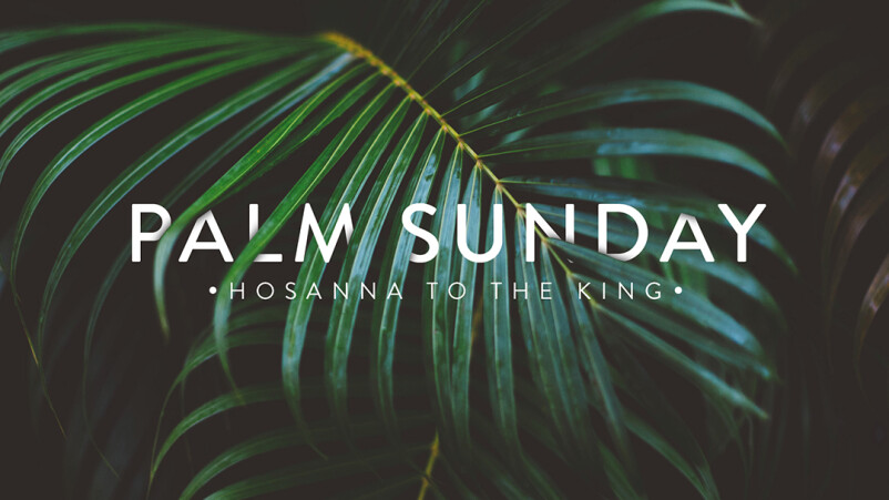 Palm Sunday
