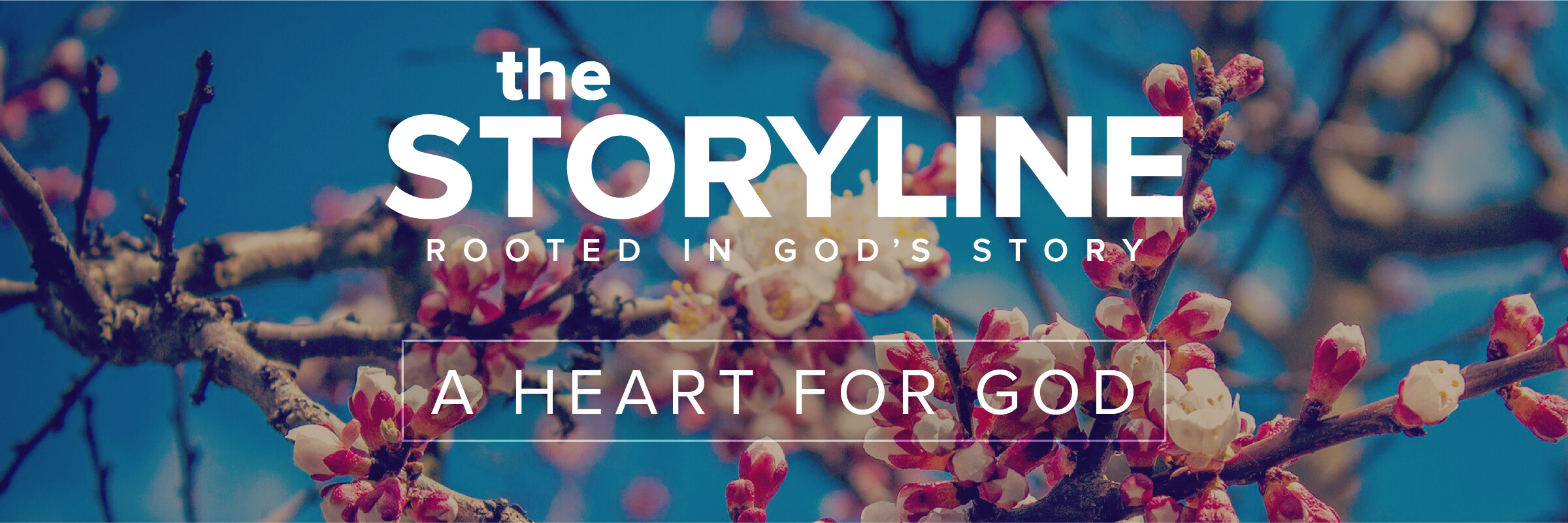 The Storyline | Patience (Audio) episode artwork
