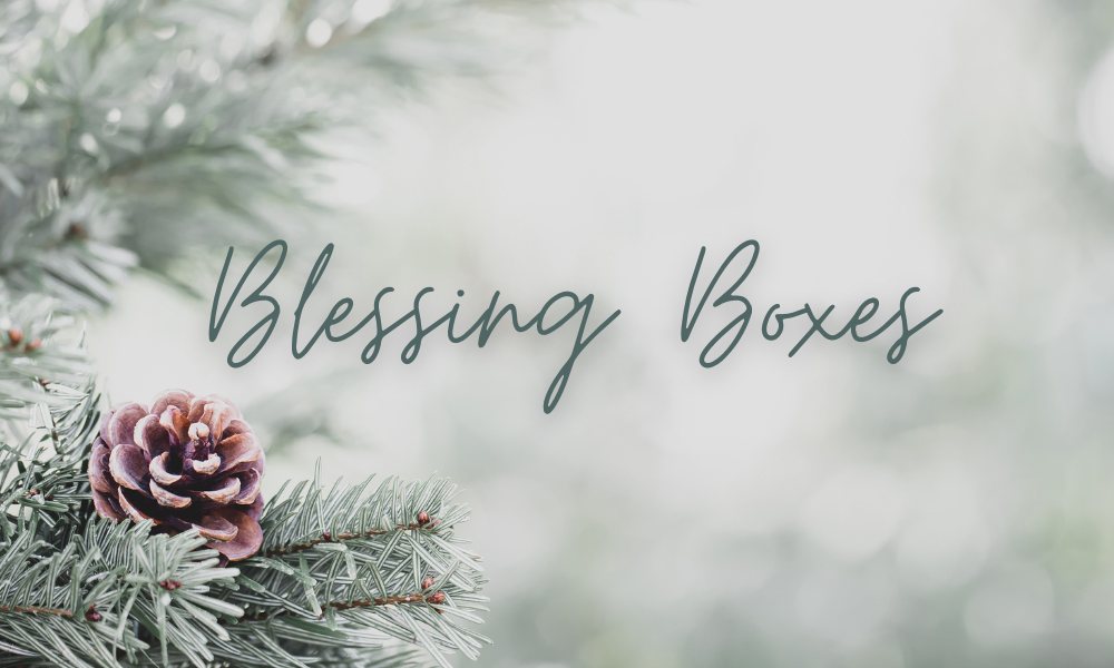 Image for Blessing Boxes